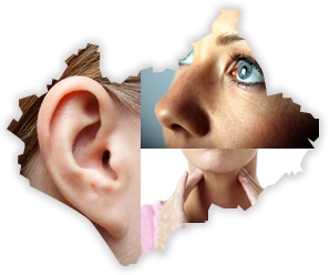 1346868778_RX1Io7ii1vaivhWDz1T3