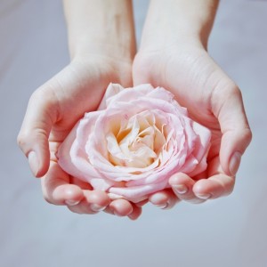 shutterstock_133338497